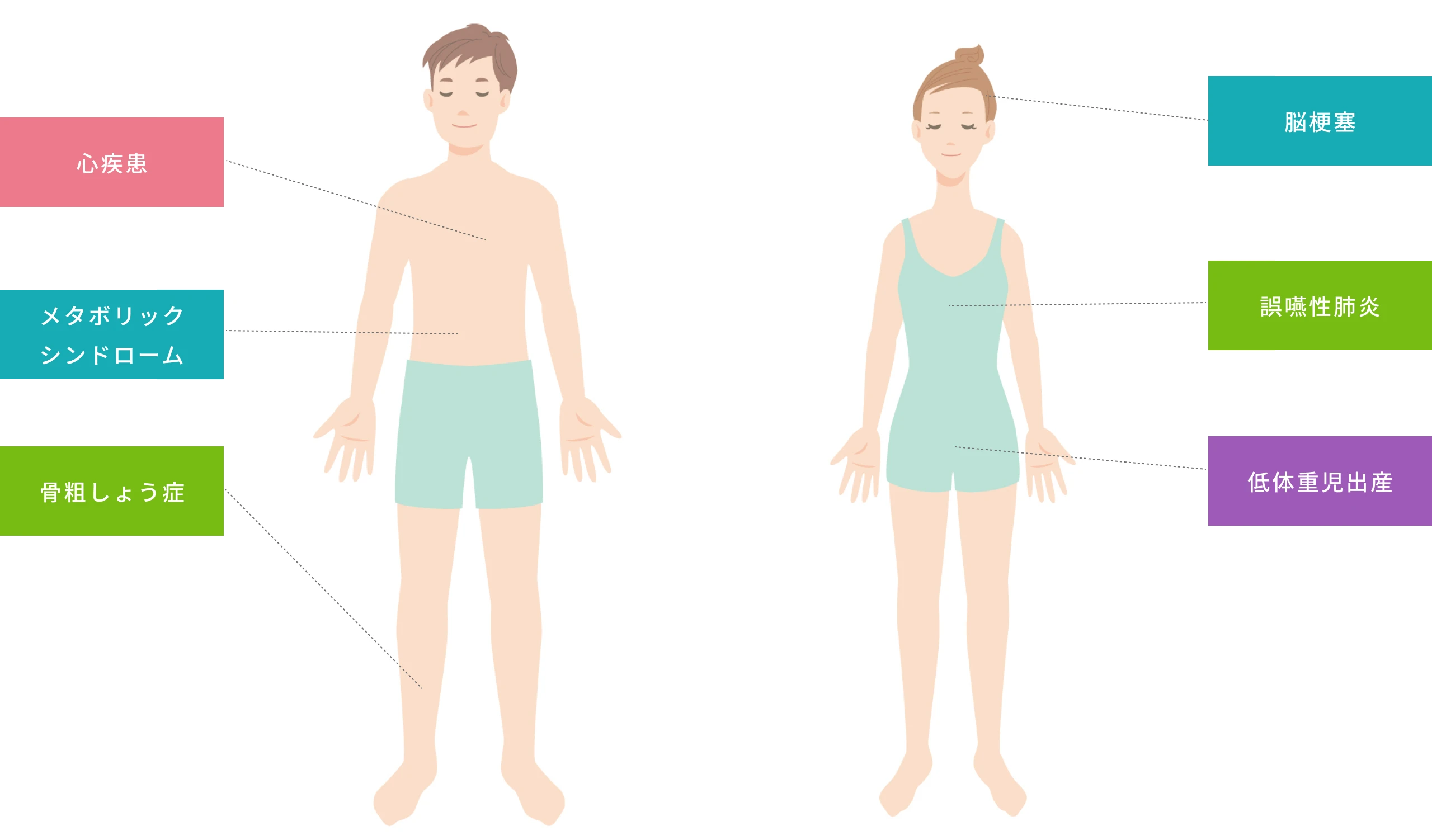歯周病と全身疾患の関係